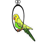 parakeetswing.gif